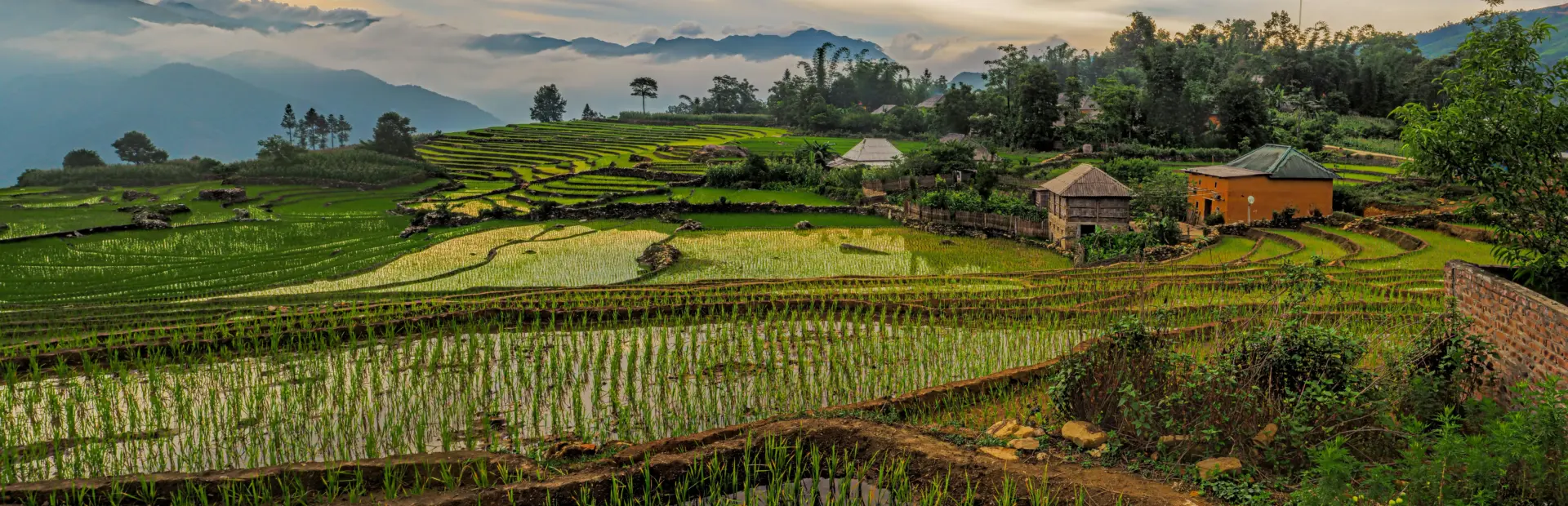Avila Reizen Vietnam nature