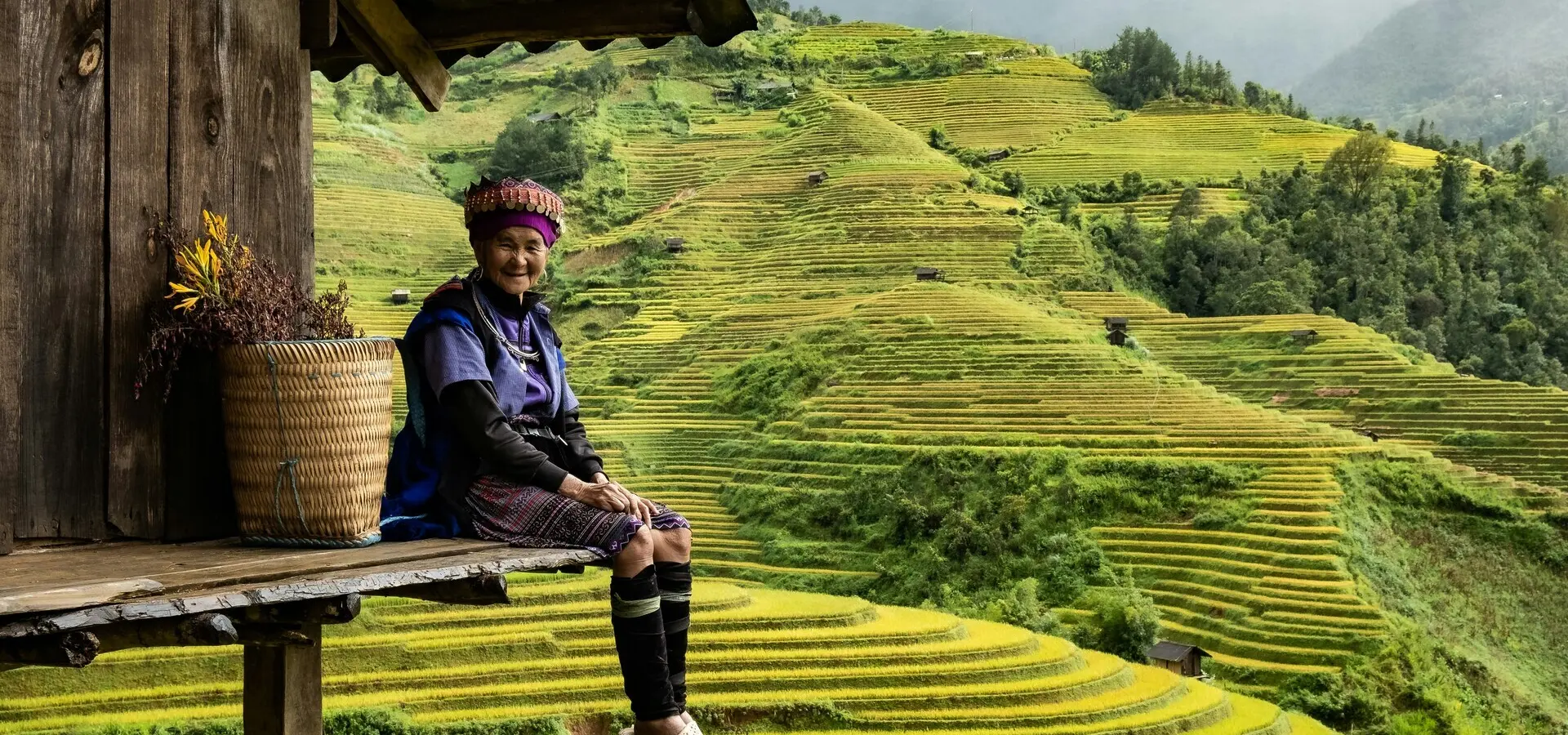Avila Reizen Vietnam view rijstterras