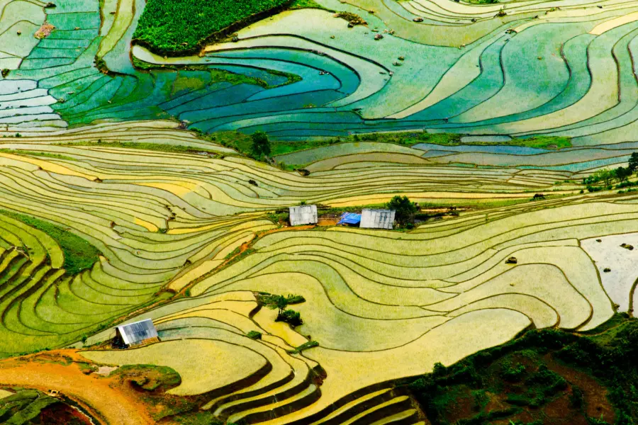 Avila Reizen Vietnam rijstvelden