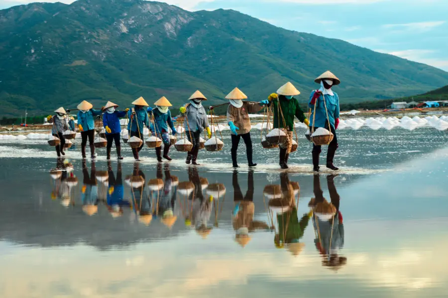 Avila Reizen Vietnam zoutpan