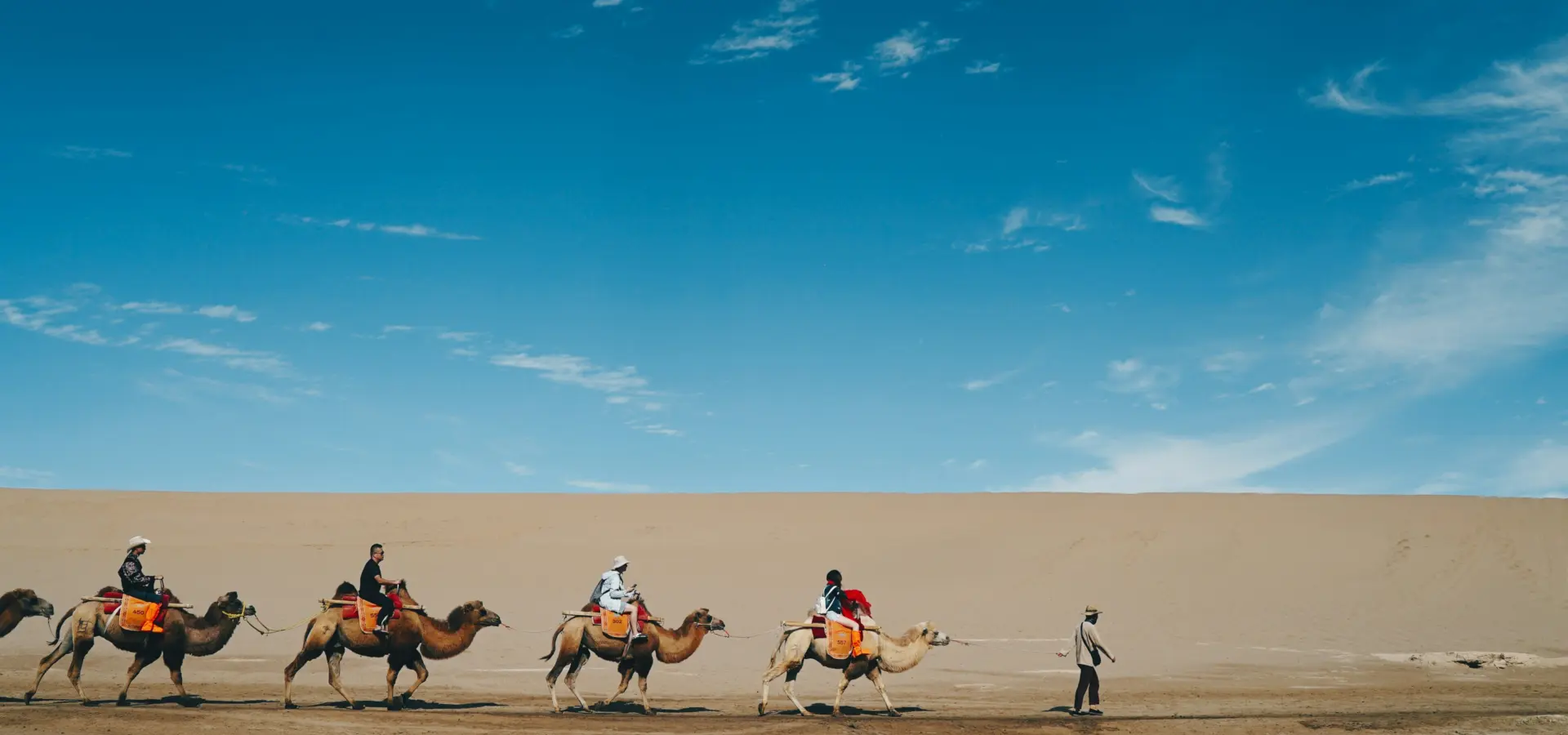 Avila Reizen China Dunhuang kamelen in woestijn