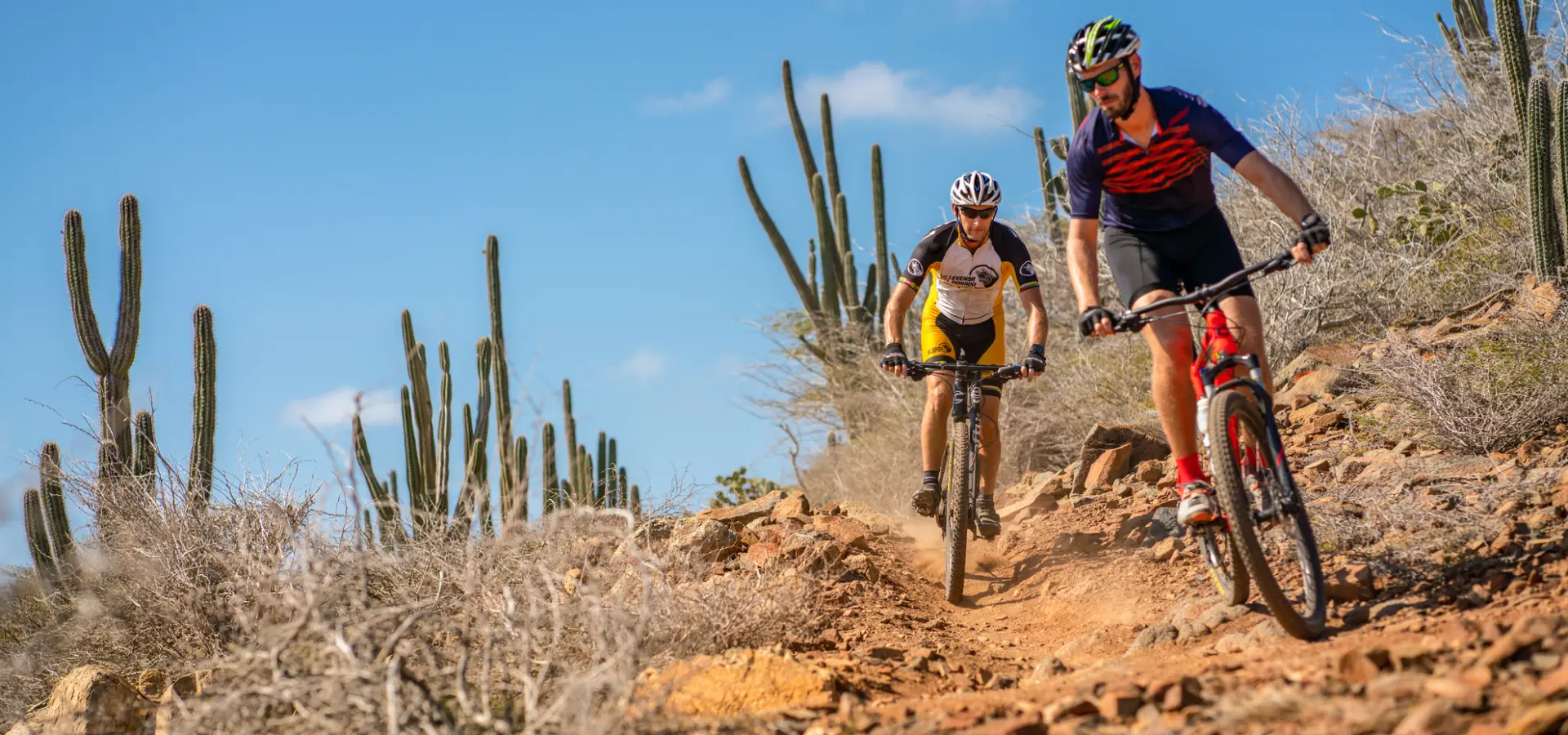 Avila Reizen Aruba Licensed by the Aruba Tourism Authority aruba com Mountain Biking 1