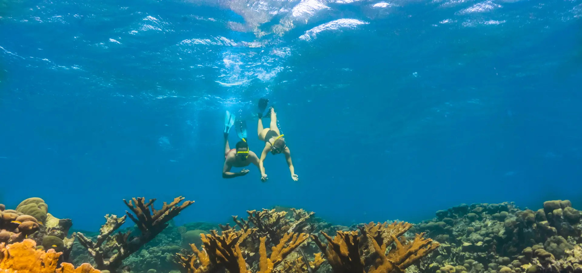 Avila Reizen Aruba Licensed by the Aruba Tourism Authority aruba com Friends Snorkeling