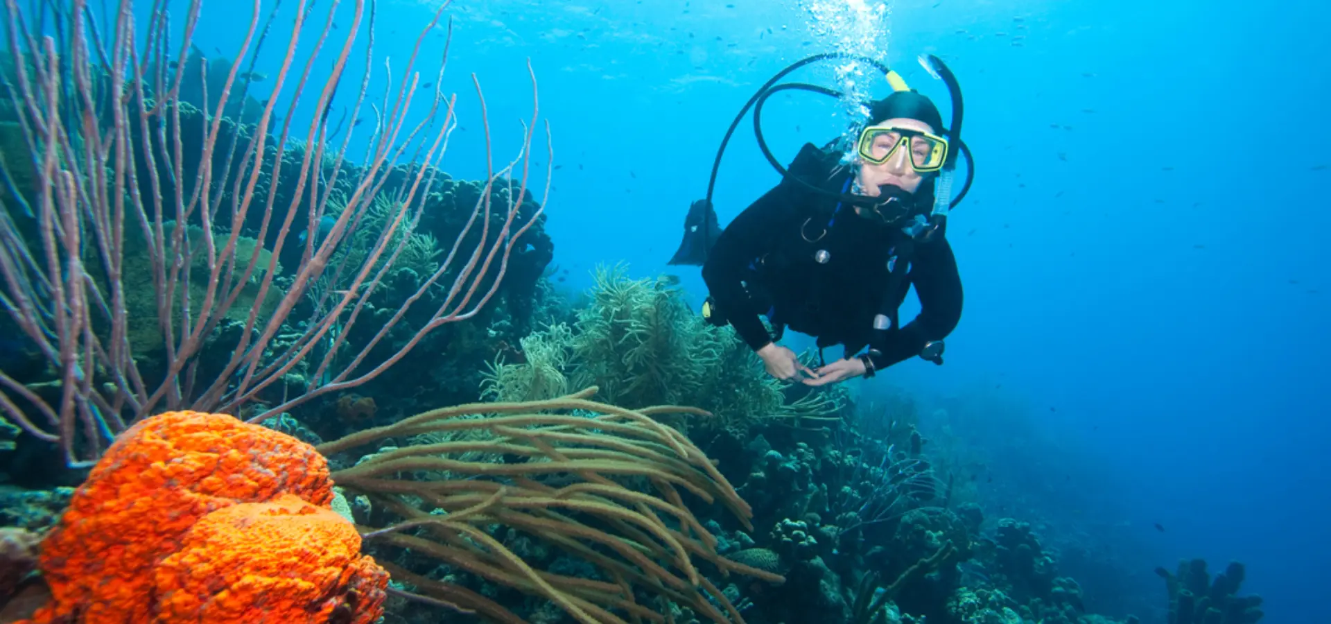 Avila Reizen Bonaire duiken