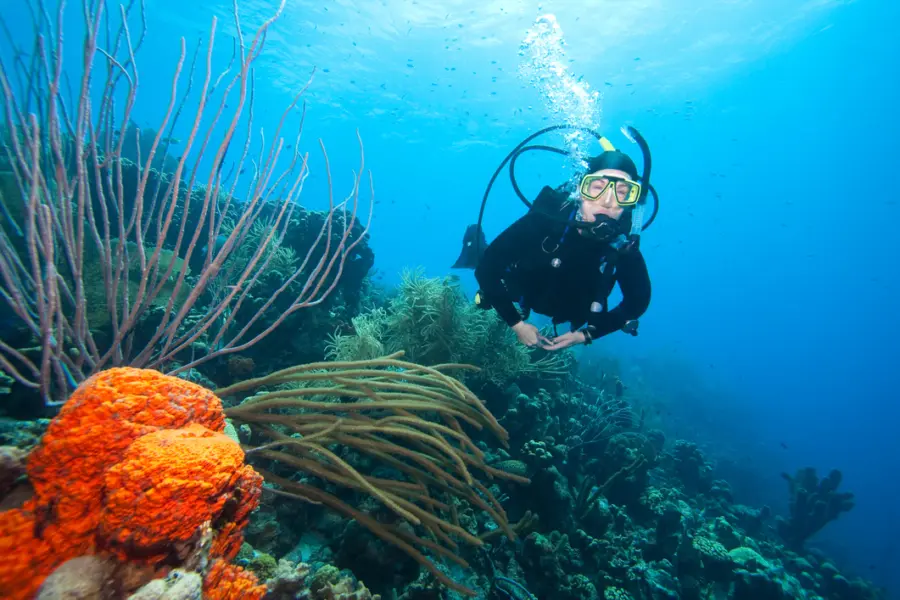 Avila Reizen Bonaire duiken