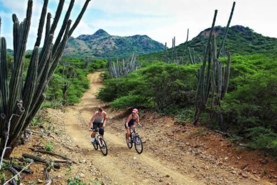 Avila Reizen Bonaire Fietsen in Washington Slagbaai NP 1024x640