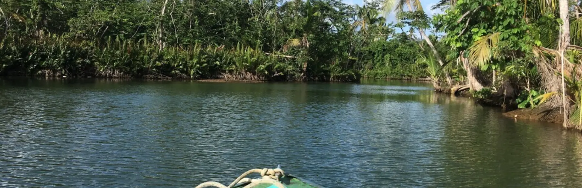 Discover Dominica Authority Indian River pm