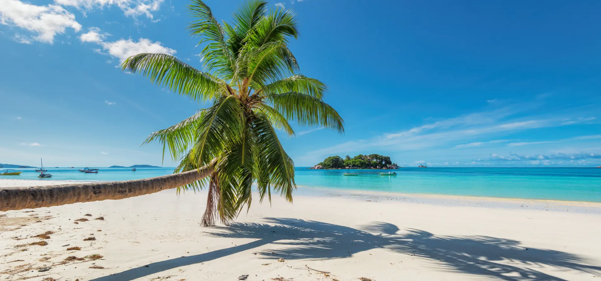 Jamaica Beach