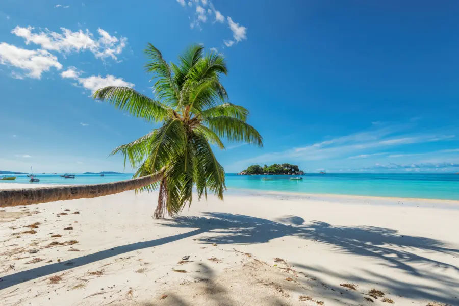 Jamaica Beach