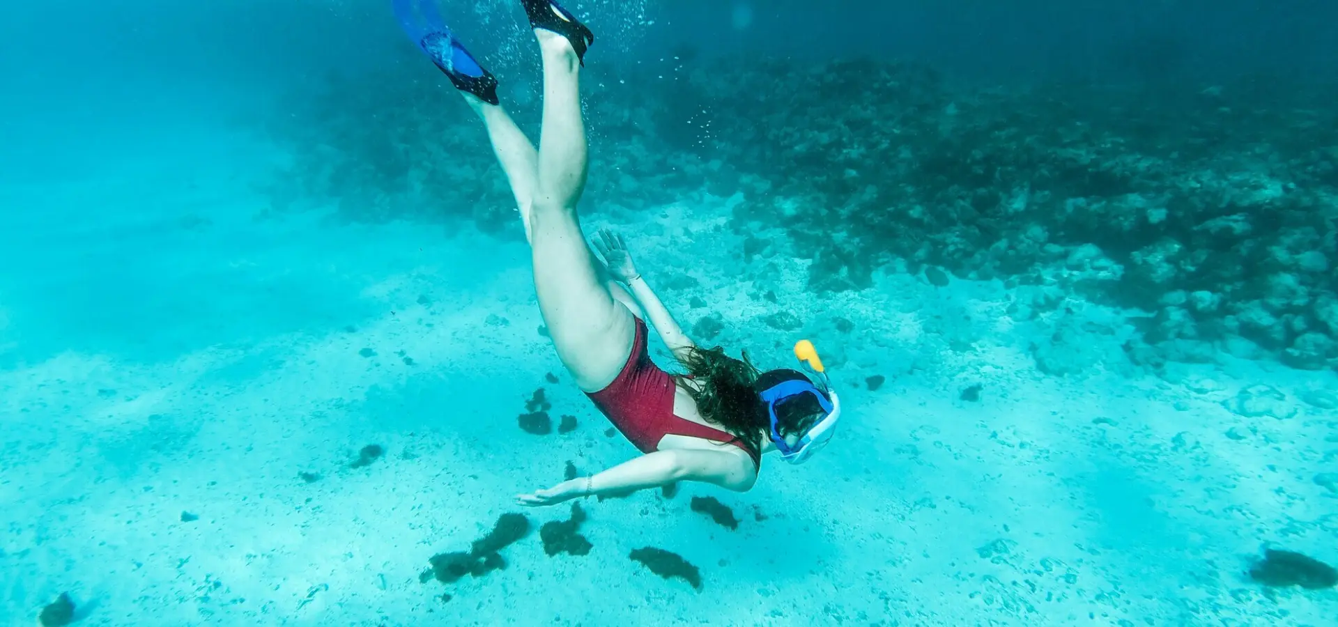 Avila Reizen Trinidad Tabago Scuba diving in Tobago cays