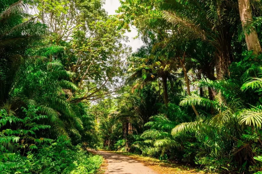 Avila Reizen Trinidad Tabago 10