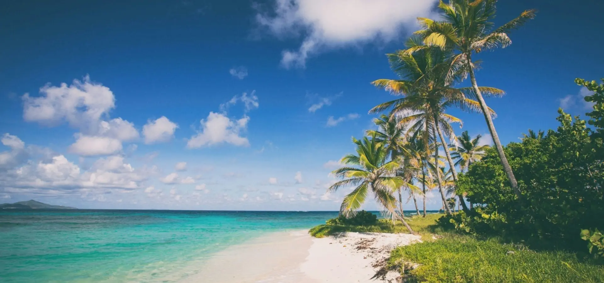 Avila Reizen Caribisch gebied tropisch strand