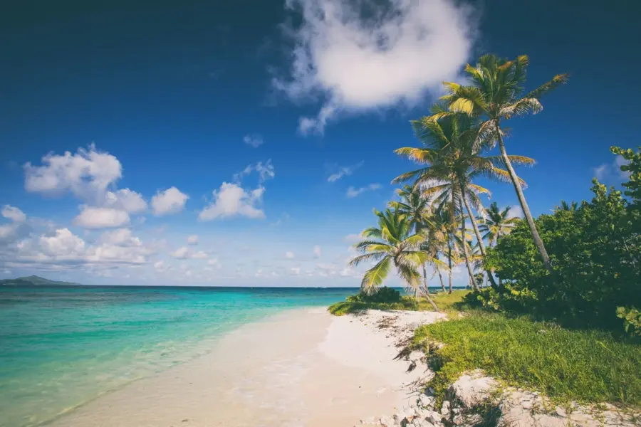 Avila Reizen Caribisch gebied tropisch strand