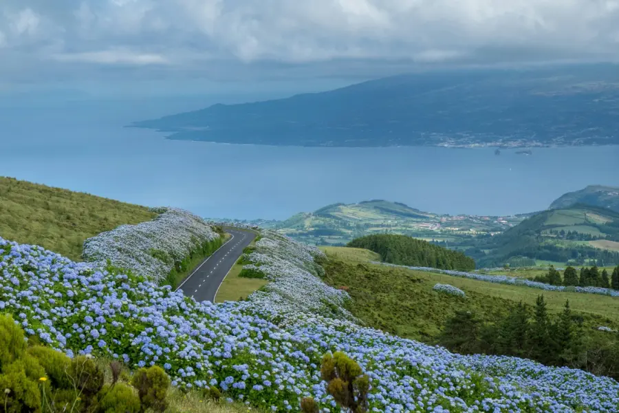 Avila Reizen Azores road