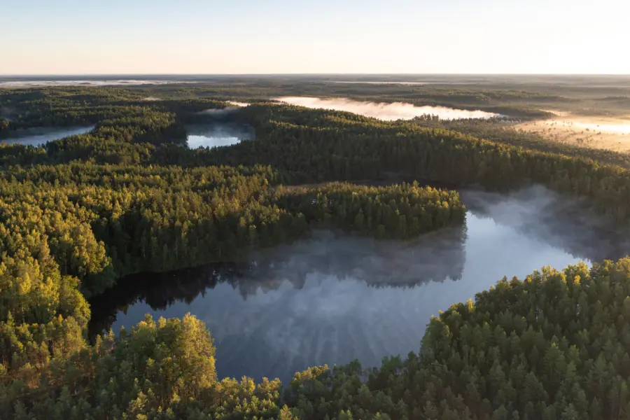 Avila Reizen Baltische staten Scenic landscape with lakes surrounded by lush evergreen trees Korvemaa reserve Estonia