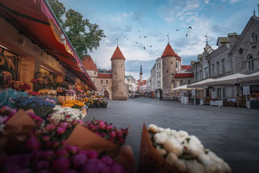 Avila Reizen Baltische staten Viru Gate with Tallinn Town Hall on background Tallinn Estonia