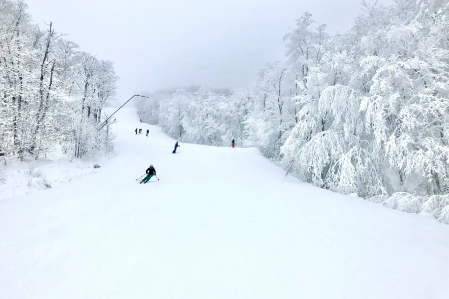 Avila Reizen Ski Georgia