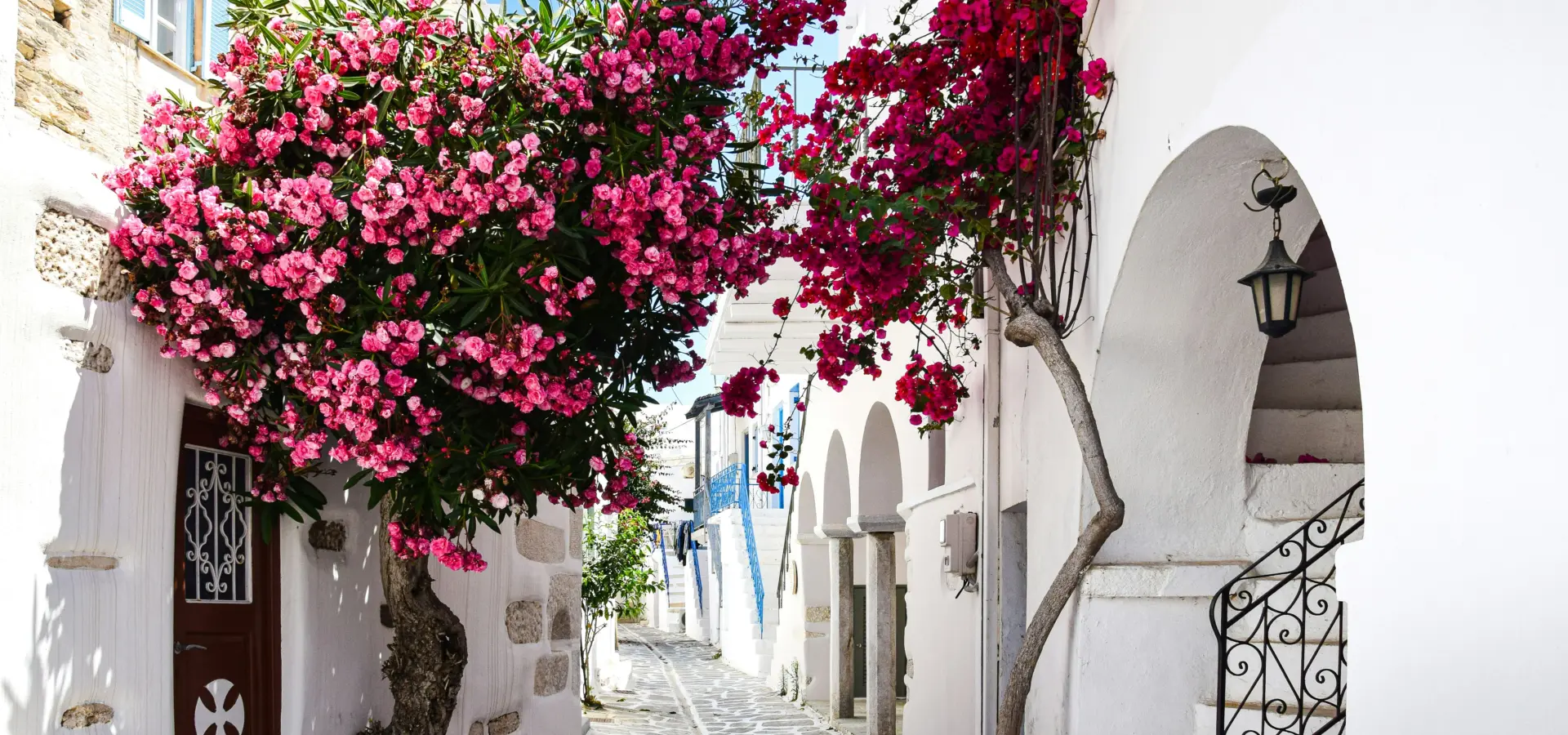 Avila Reizen Griekenland Paros