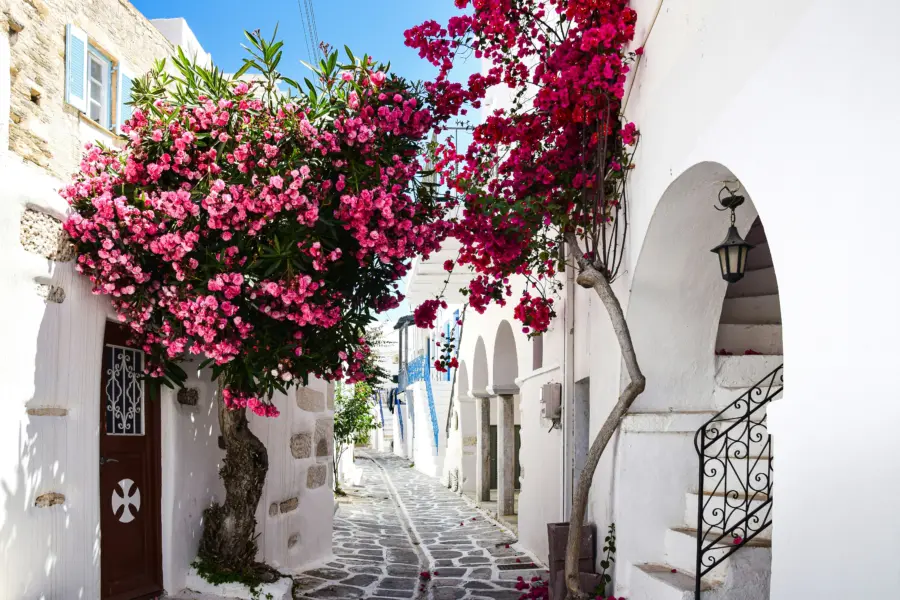 Avila Reizen Griekenland Paros
