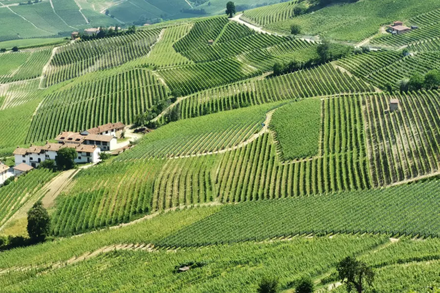 Avila Reizen Italy La Morra