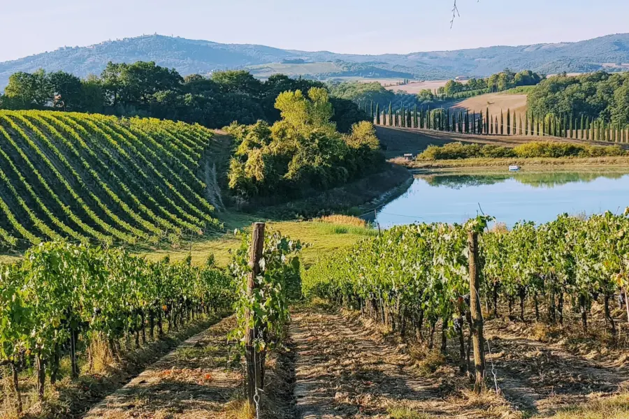 Avila Reizen Italie Tuscany Italy