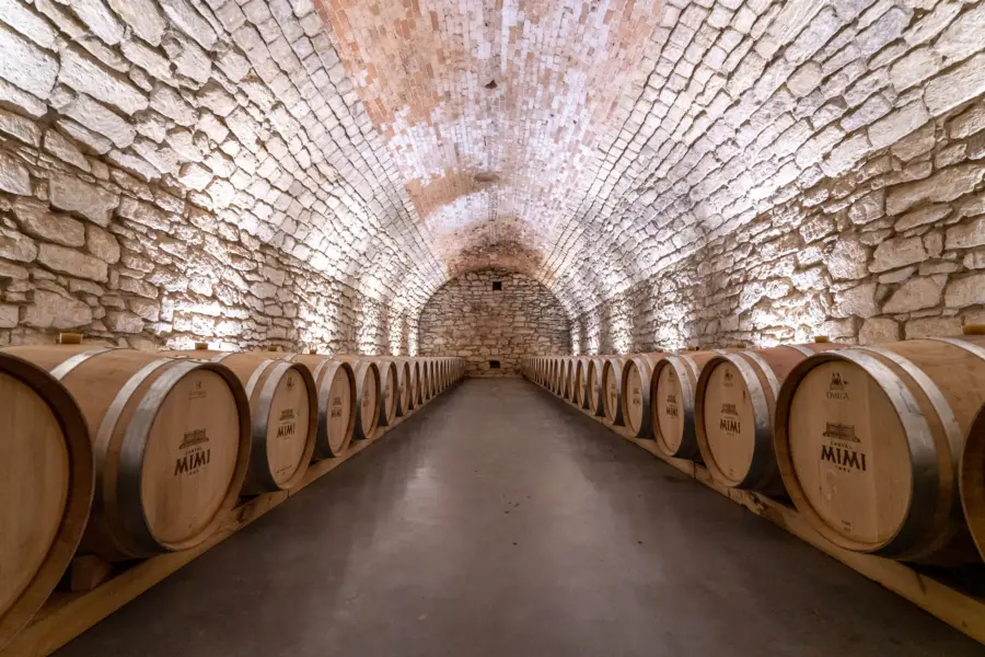 Avila Reizen Moldavië Mimi Castle wine cellar