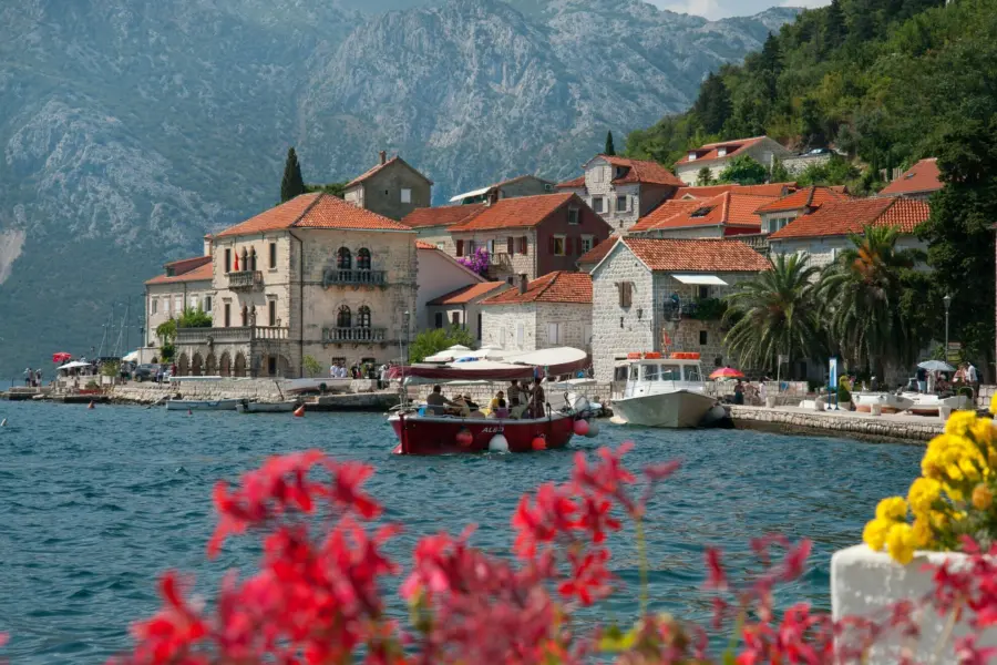 Avila Reizen Montenegro Perast Montenegro flowers