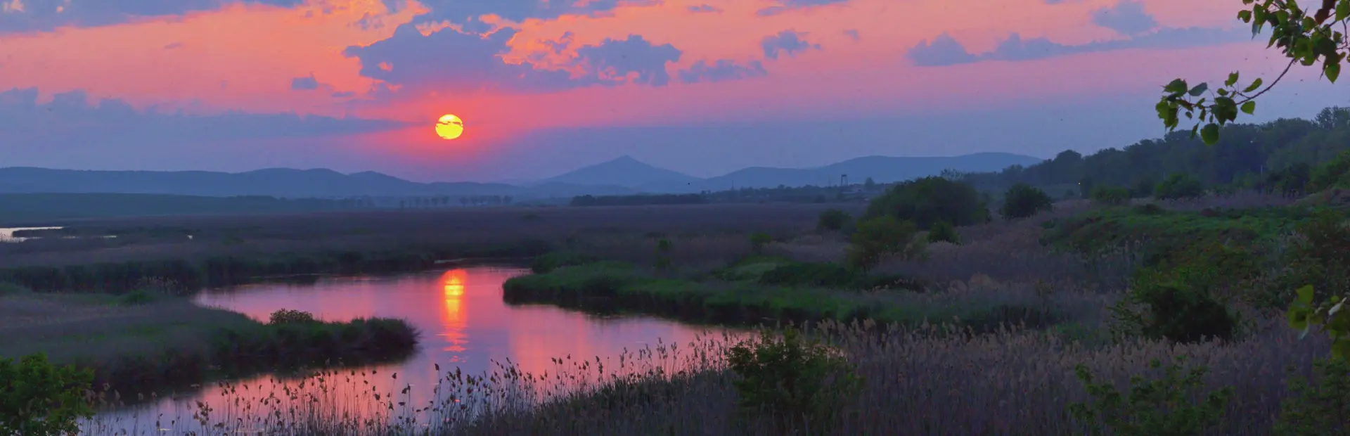 Avila Reizen Roemenie Sunset on Danube Delta in Romania