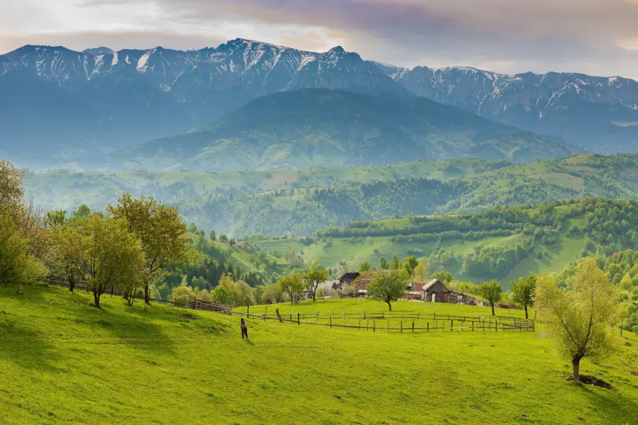 Avila Reizen Romania green
