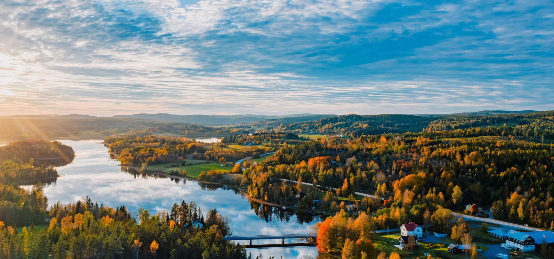 Avila Reizen Sweden forest