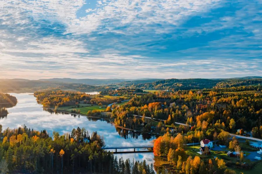 Avila Reizen Sweden forest