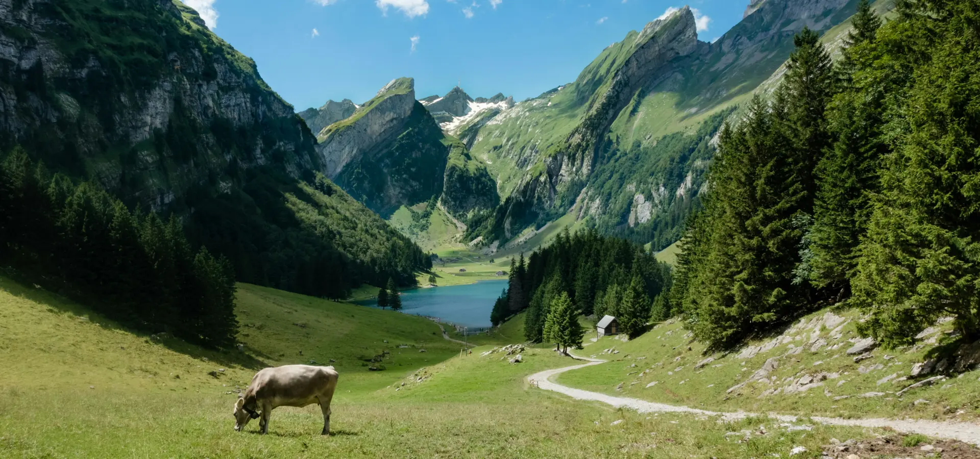 Avila Reizen Switzerland nature