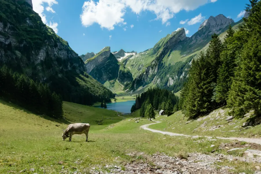 Avila Reizen Switzerland nature