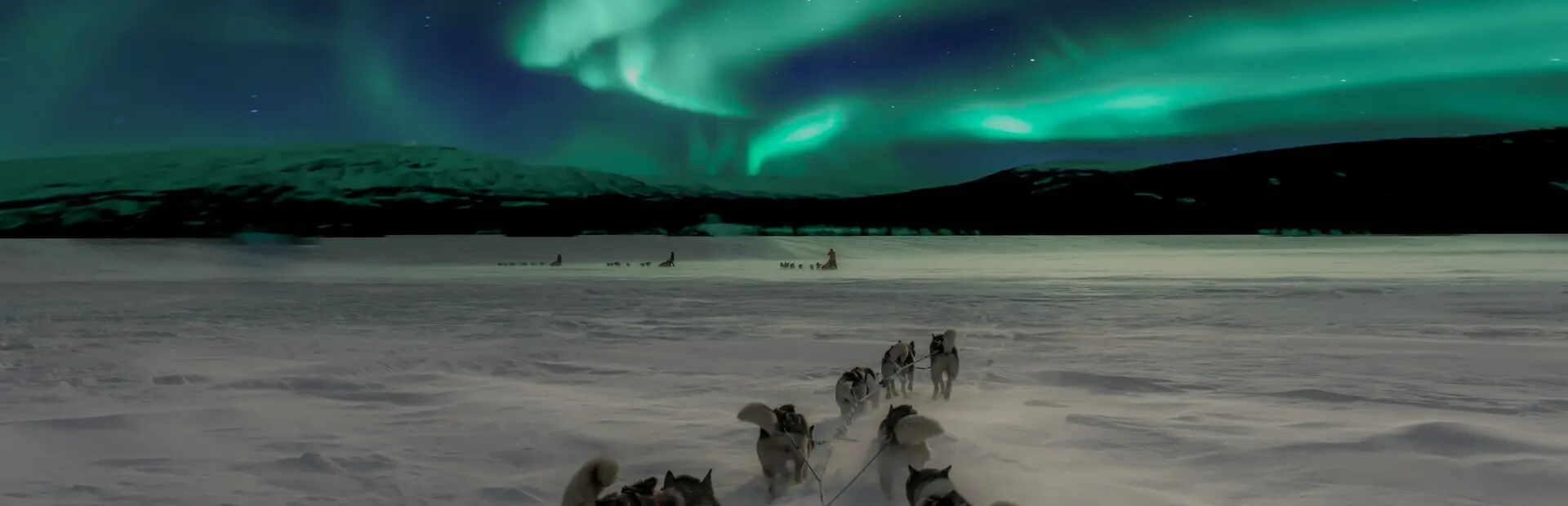 Avila Reizen Finland Lapland huskies noorderlicht