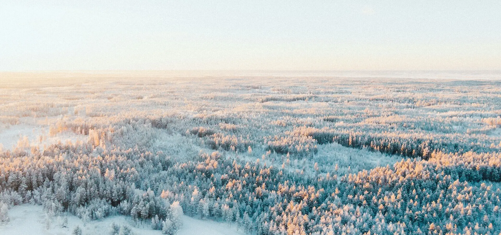 Avila Reizen Finland Lapland Winter forest at sunset