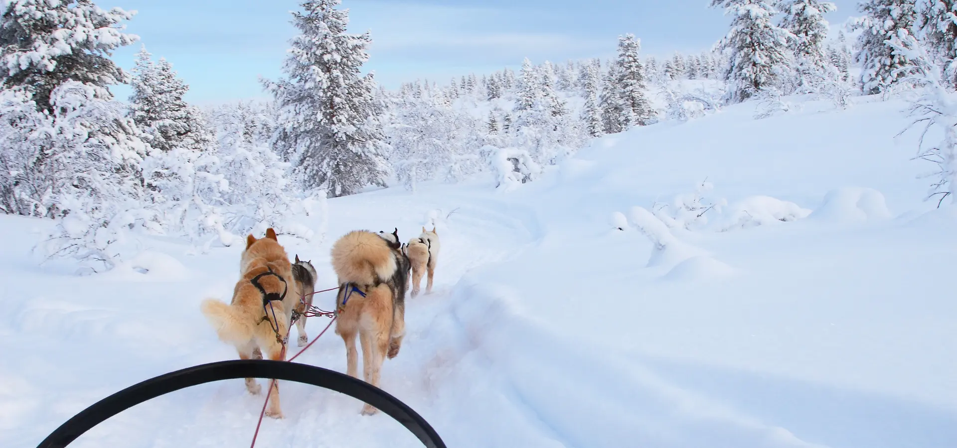 Avila Reizen Finland Lapland lapland kopie 2