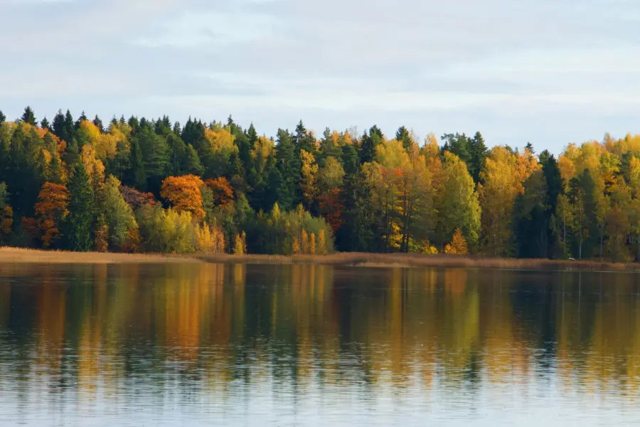 Avila Reizen Finland Kuopio Finland