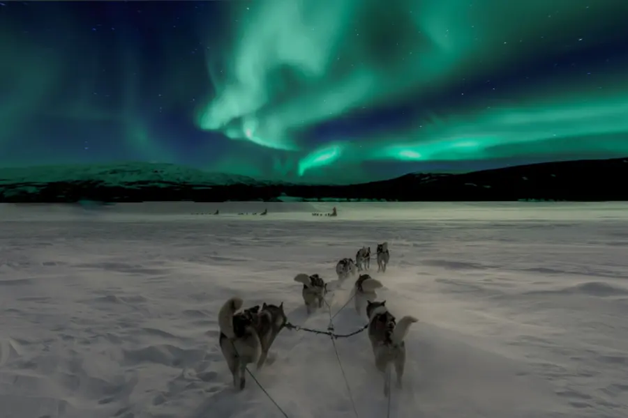 Avila Reizen Finland Lapland huskies noorderlicht