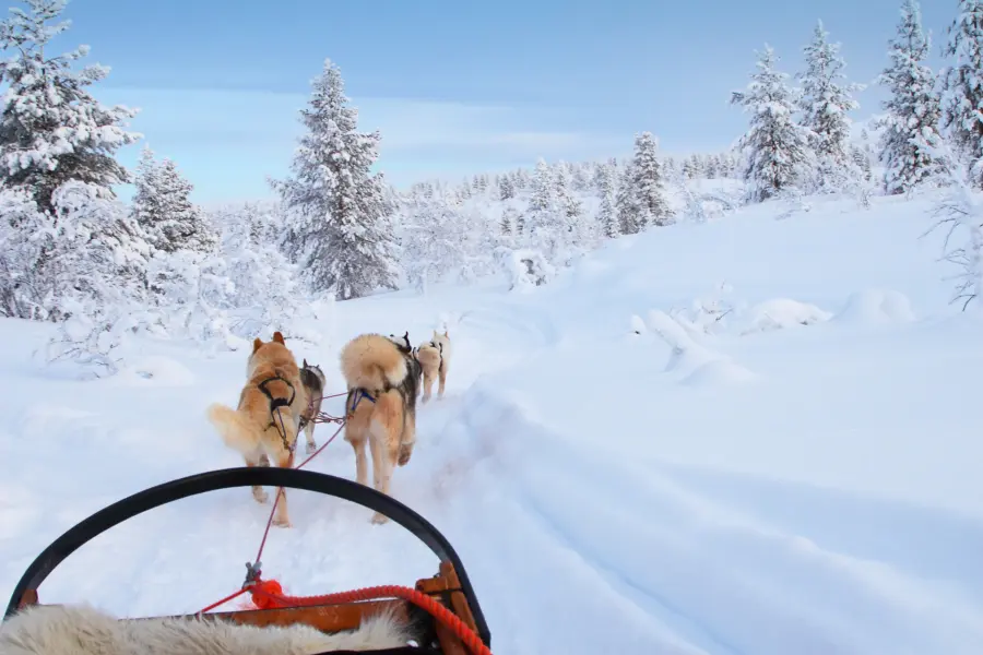 Avila Reizen Finland Lapland lapland kopie 2