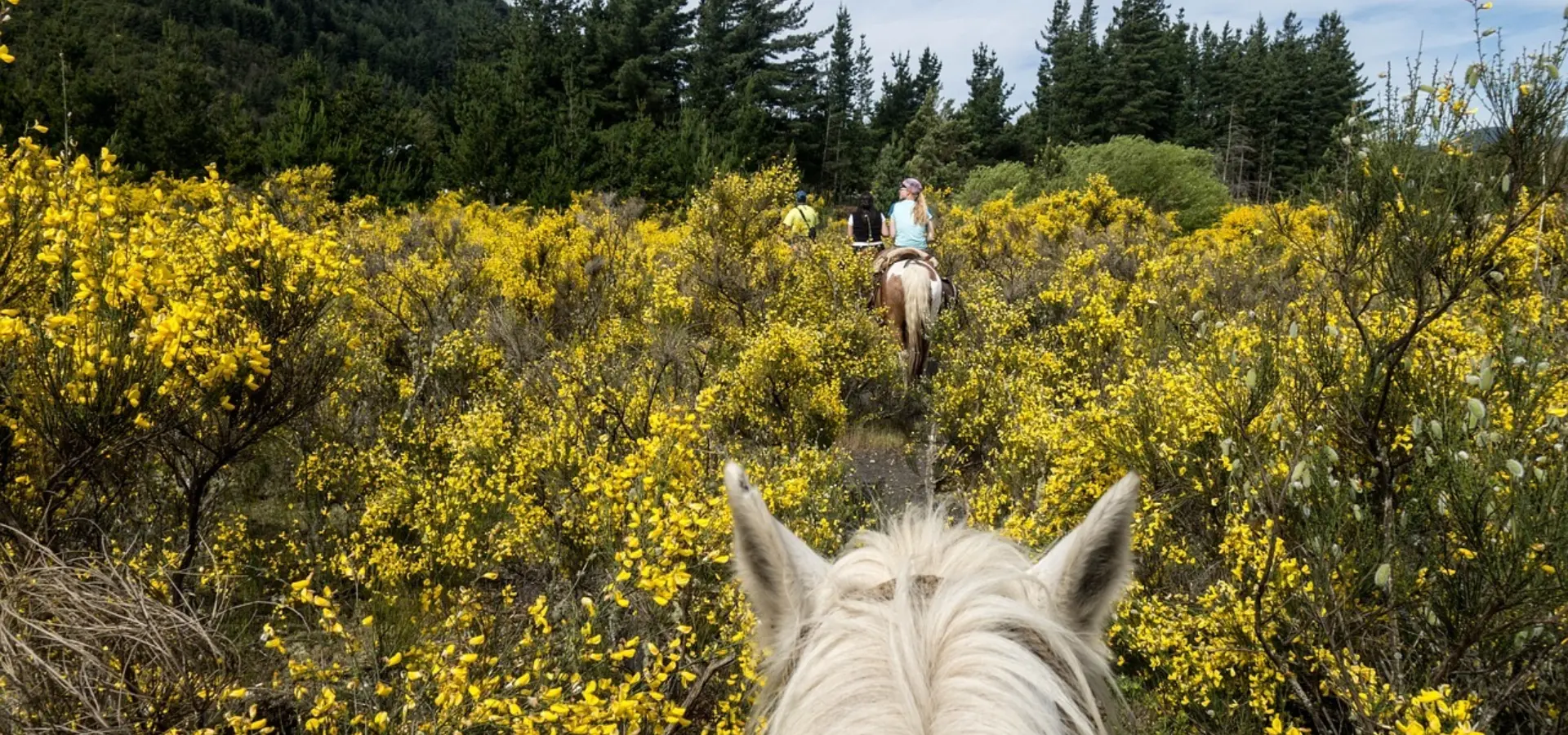 Avila Reizen Argentinië Bariloche paardrijden