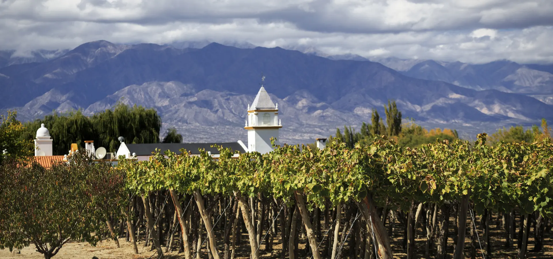 Avila Reizen Argentinie wijn mendoza