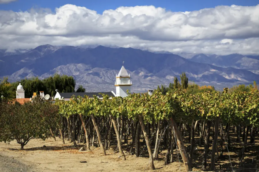 Avila Reizen Argentinie wijn mendoza