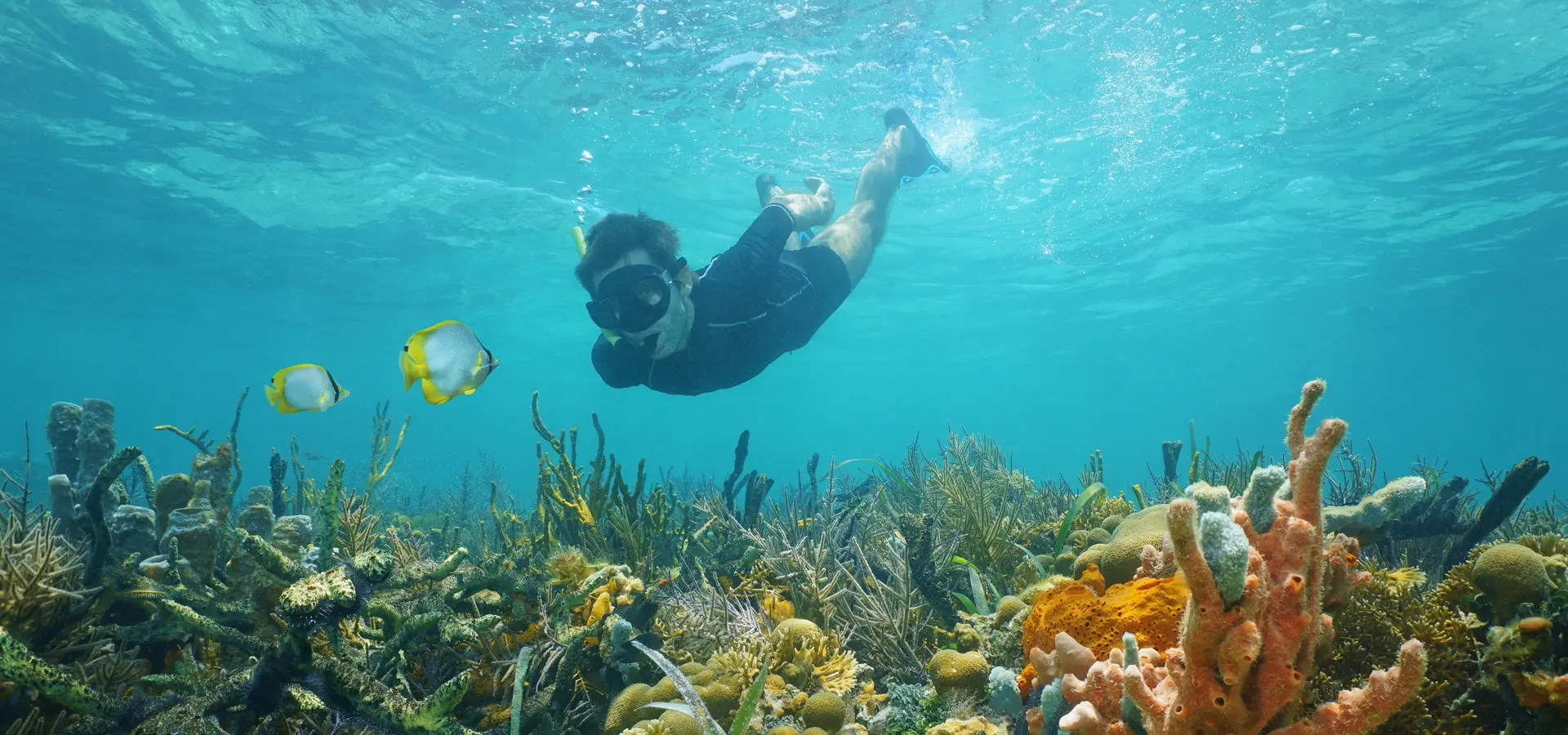 Avila Reizen Belize Latijns Amerika snorkelen