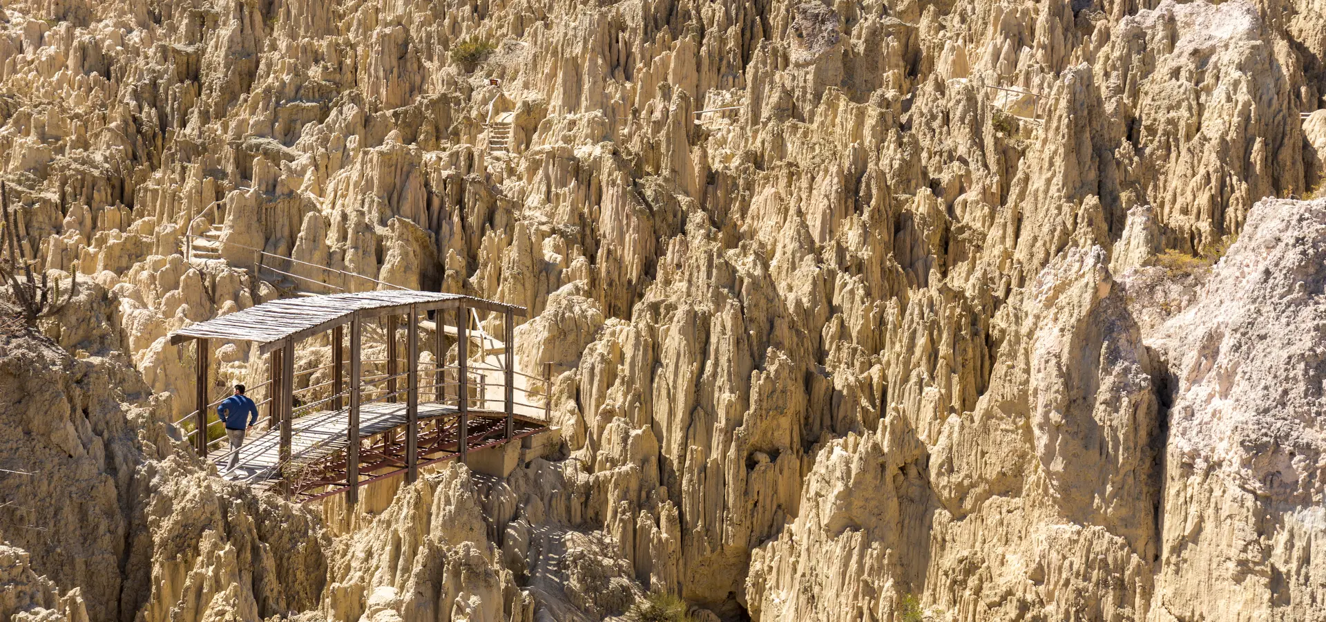 Bolivia Avilareizen Parque Moon Valley Montañas La Paz