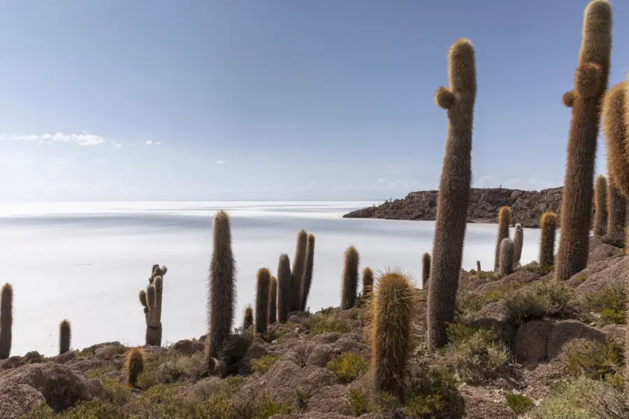 Bolivia Latijns Amerika zoutmeer