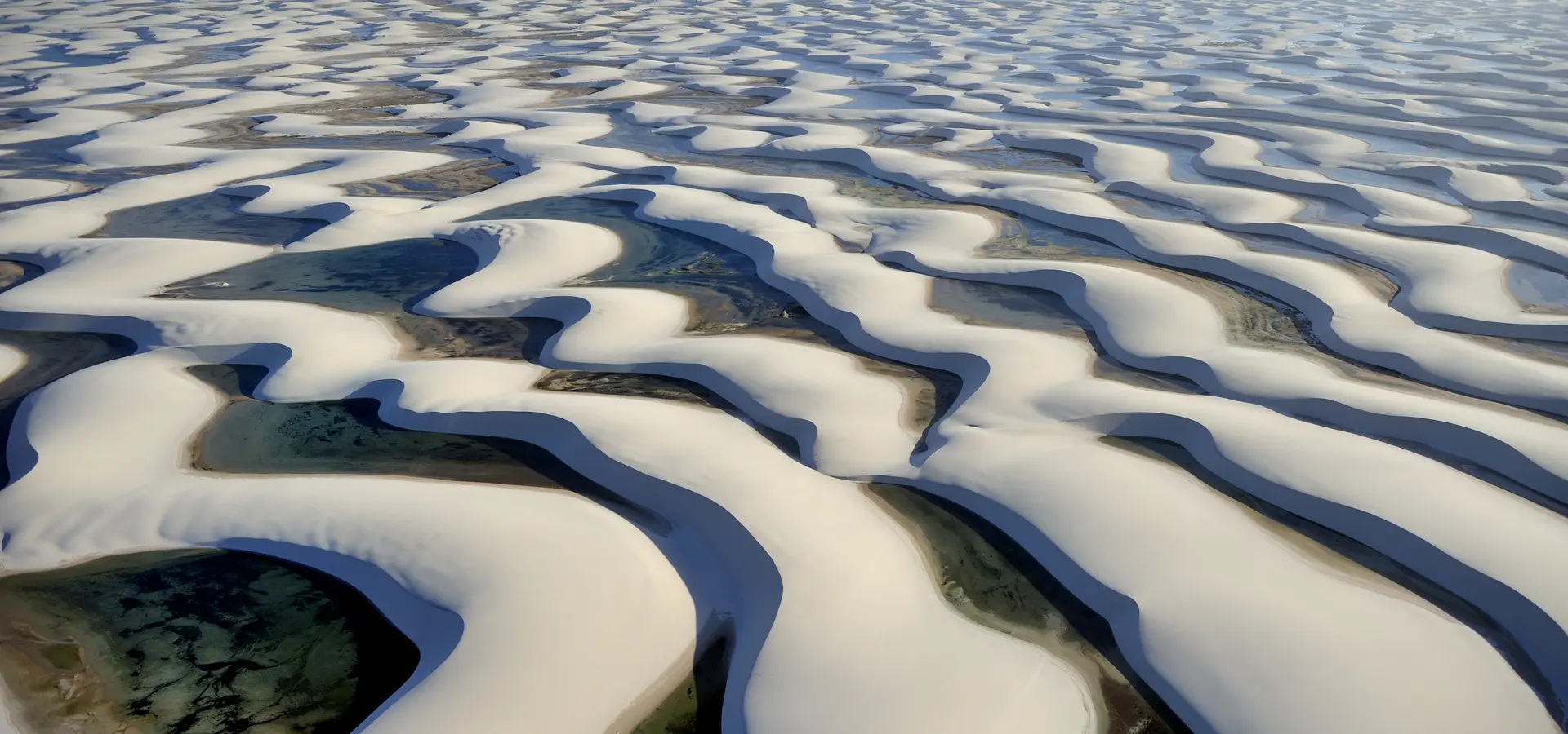 Avila Reizen Brasilie Isolated Paradise Lencois Maranhenses National Park Brasilie 6