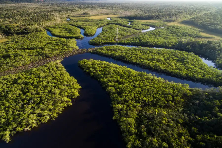 Avila Reizen Brasil Aerial View of a Rainforest in Brazil