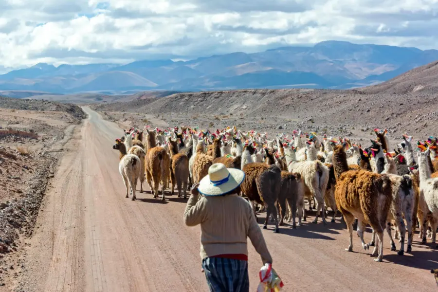 Avila Reizen Chili Patagonie San Pedro de Atacama