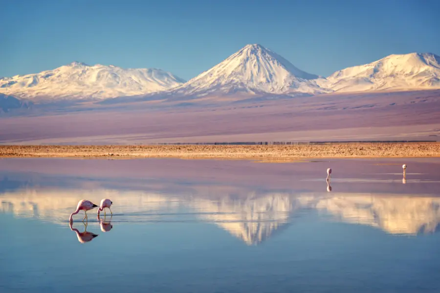 Avila Reizen Chili Patagonie