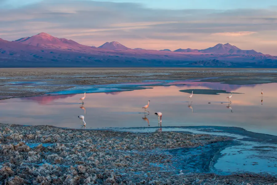 Avila Reizen Chili Patagonie Alto Atacama chile D2 42